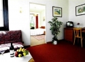 Hotel Arnika Rudník***