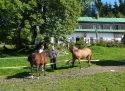 Penzion Klecanda