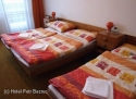 Hotel Petr Bezruč **