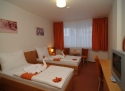 Hotel Puls