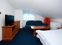 Hotel u Jelena