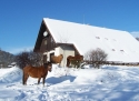 Penzion Farma Vyšehrad